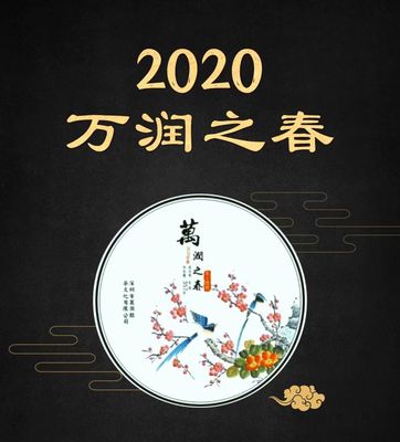 2020年 万润之春普洱茶357g