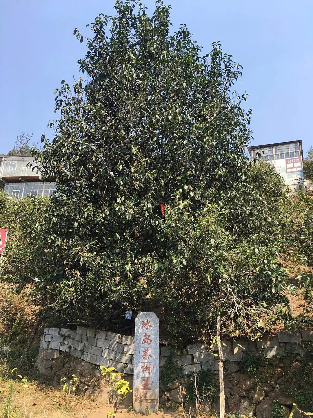 微信图片_20200823204612.jpg