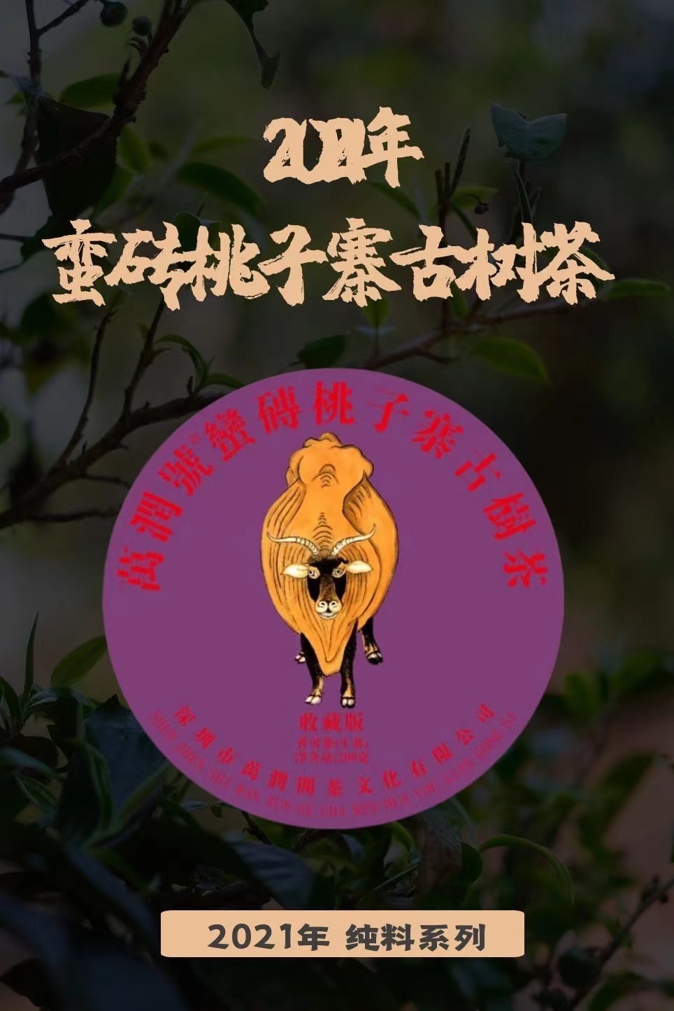 2021年 蛮砖桃子寨古树茶200g