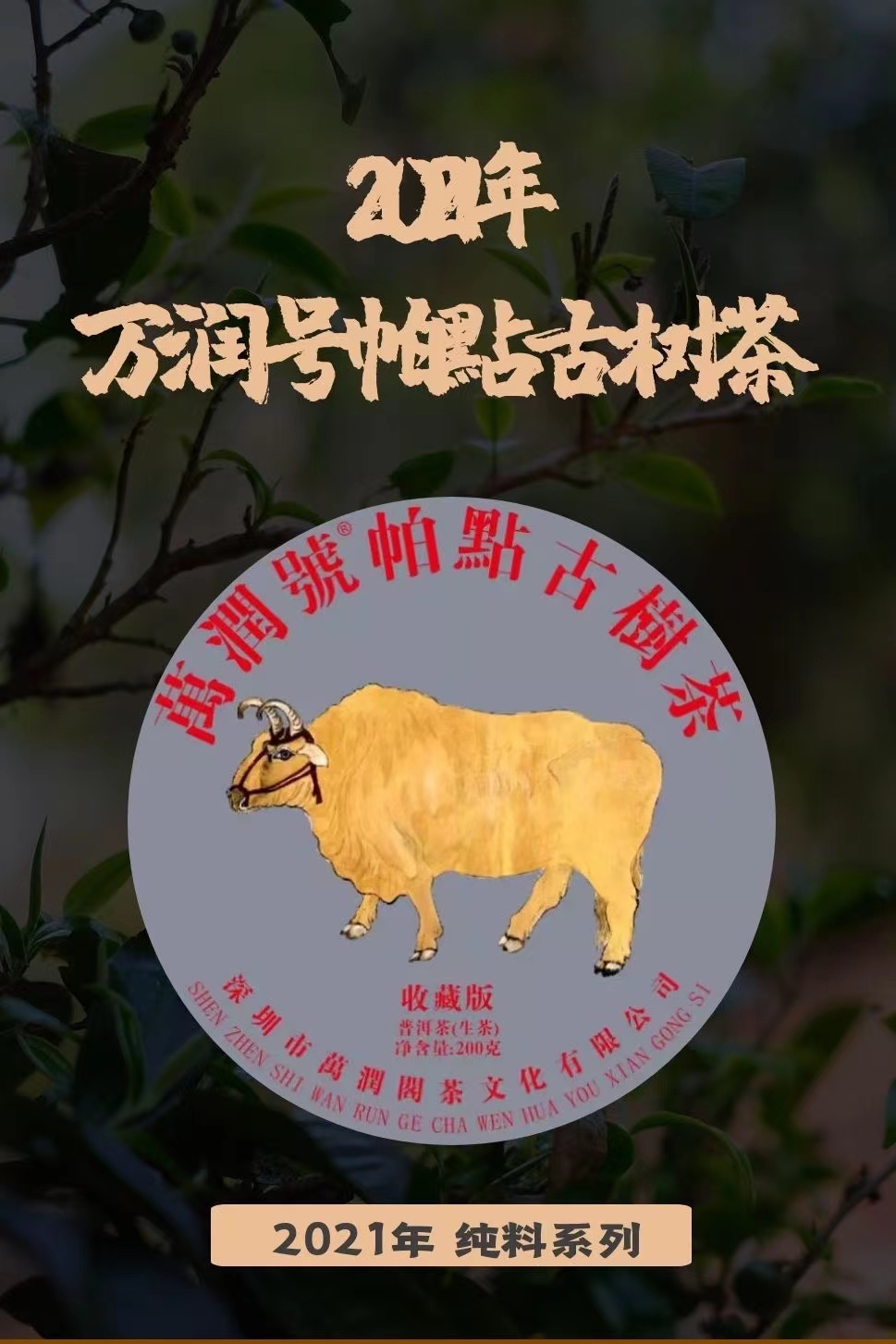 2021年 帕点古树茶200g