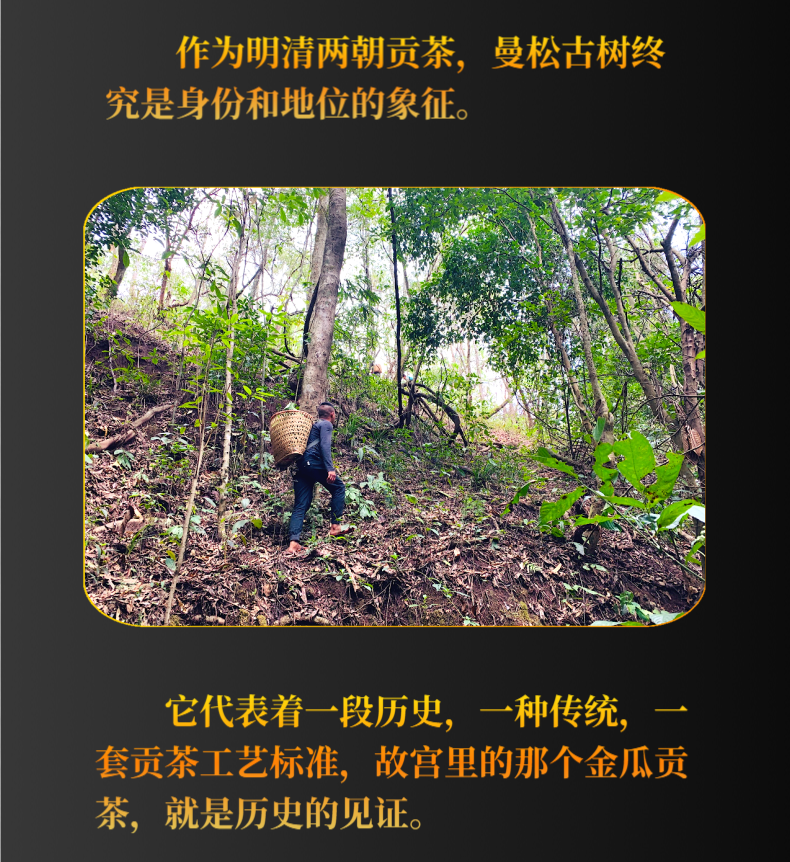 曼松终@凡科快图_04.png
