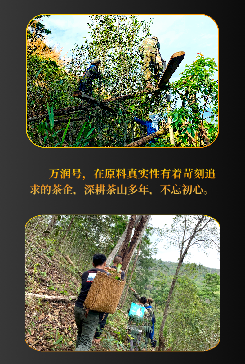 曼松终@凡科快图_05.png