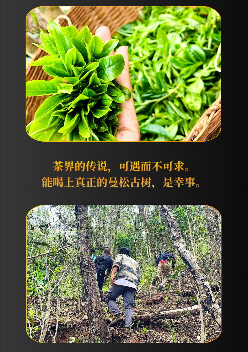 曼松终@凡科快图_03.png