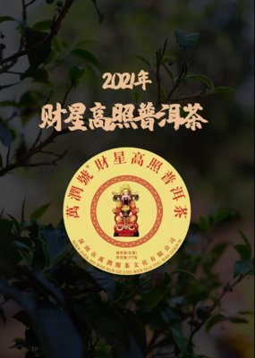 2021年 财星高照普洱茶357g